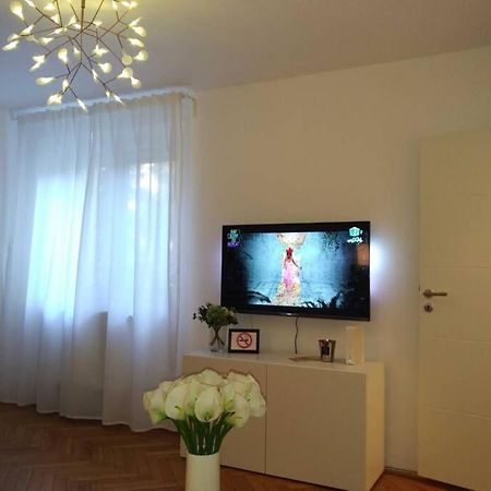 Art & Design Apt - City Center Timişoara Eksteriør bilde