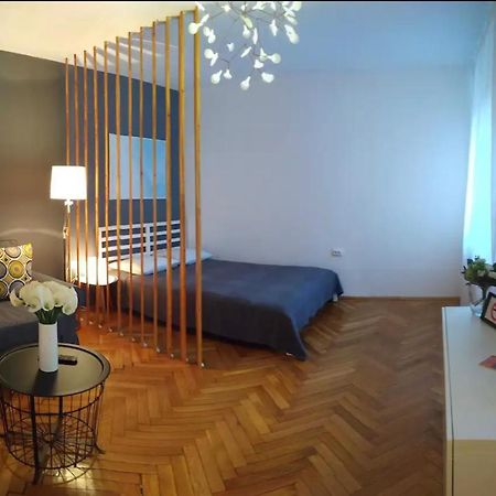 Art & Design Apt - City Center Timişoara Eksteriør bilde