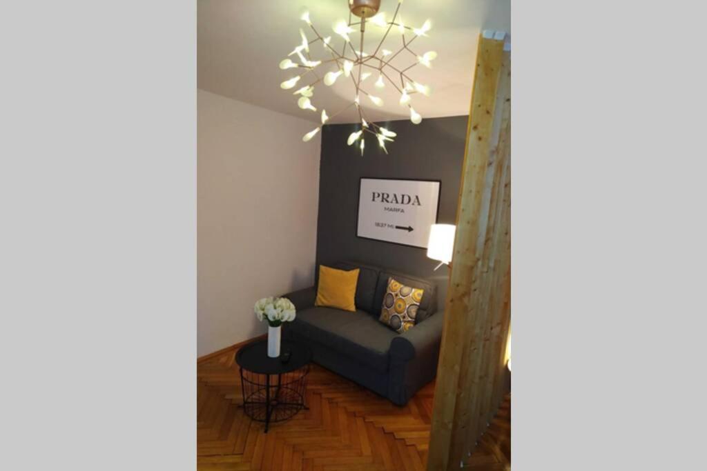 Art & Design Apt - City Center Timişoara Eksteriør bilde